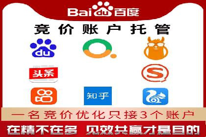 SEM推广实战：成功案例剖析